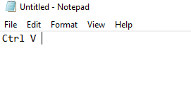 Paste in Notepad